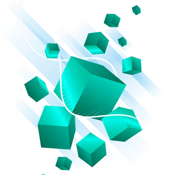 Functional Components
